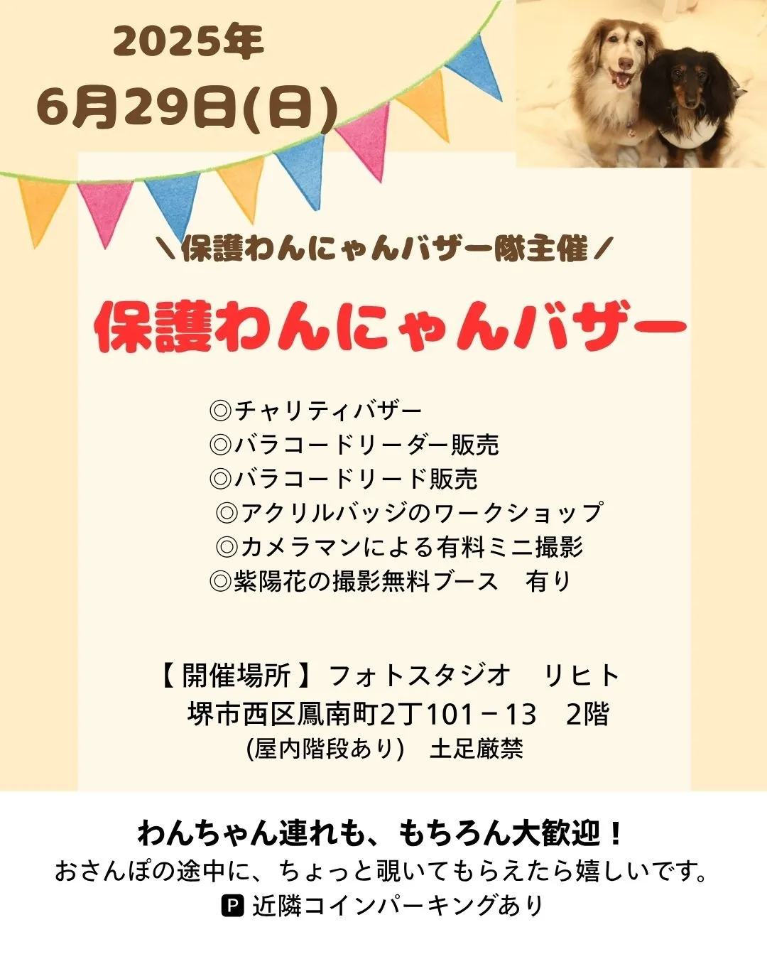 【6/29｜開催】保護わんにゃんバザー