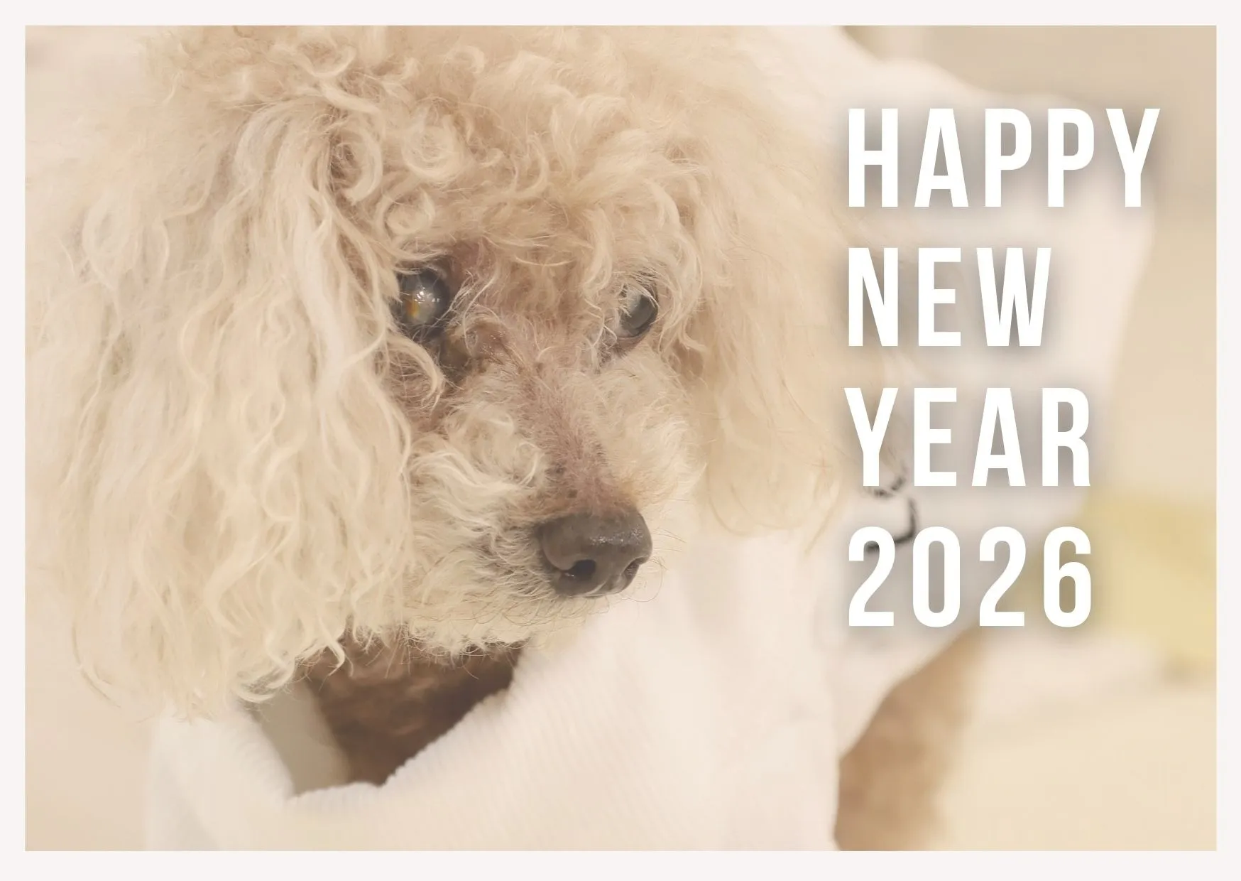 2026年、宜しくお願いしたします。