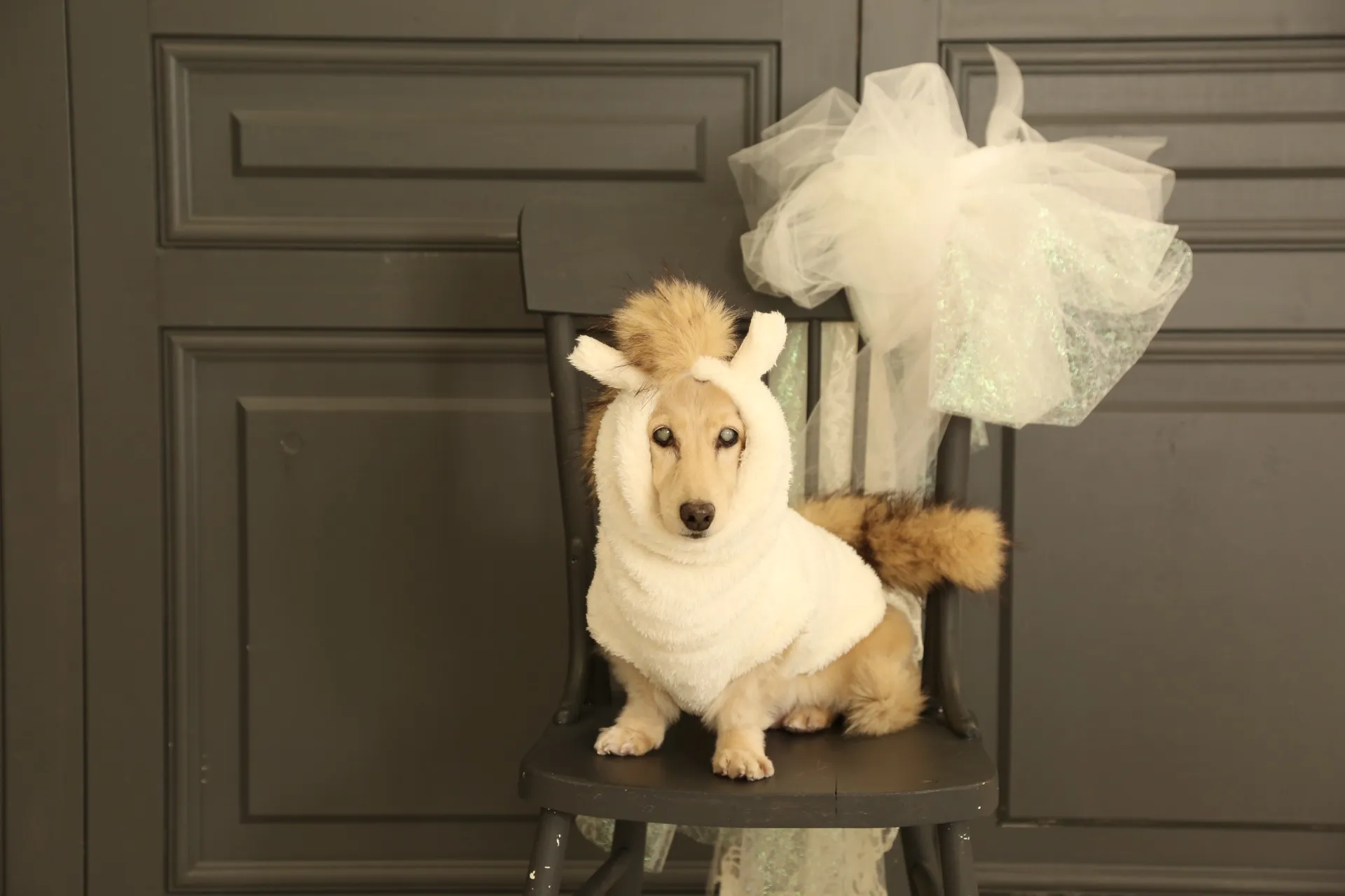 【お客様からのメッセージ】スタッフさんへ