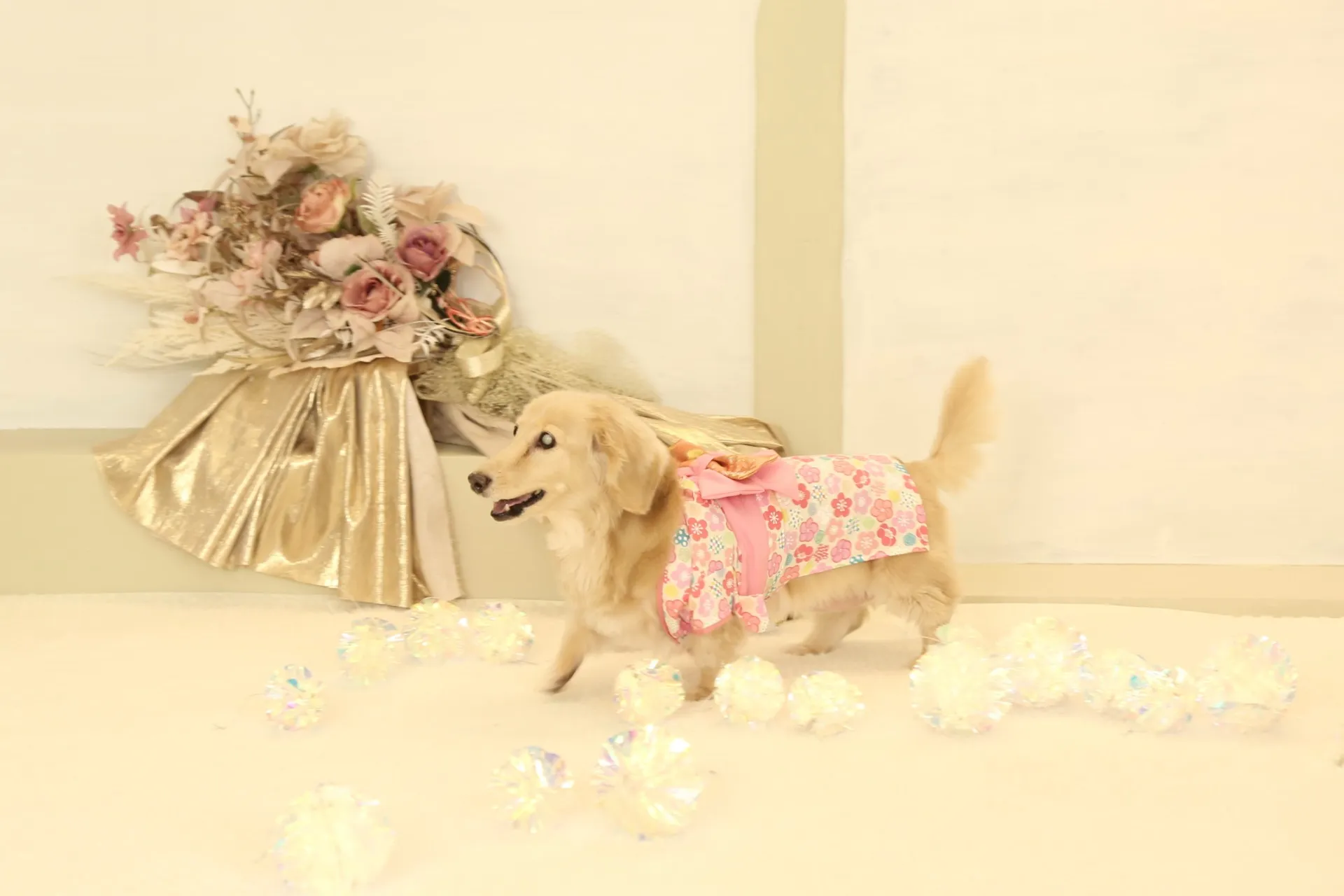 撮影シーズンはお気になさらずに！